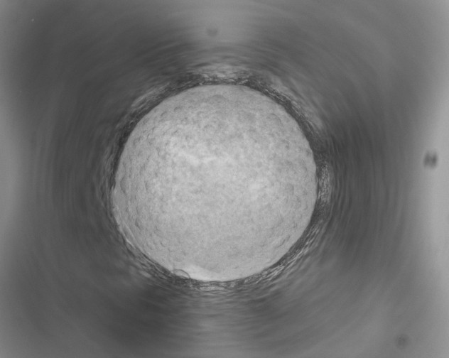 X0000116631297201001221352