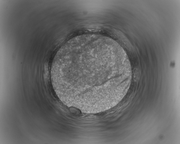 X0000116631298201001221352