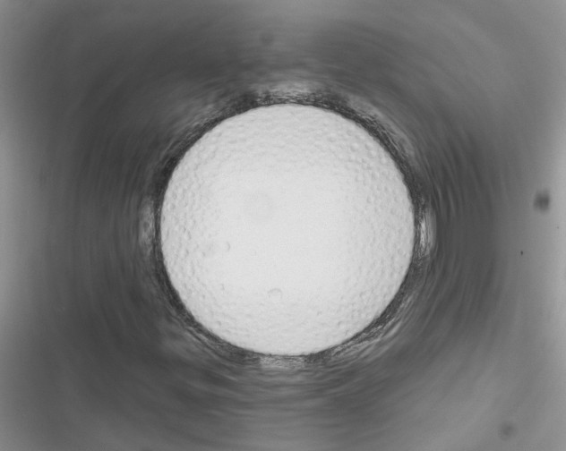 X0000116631299201001221352