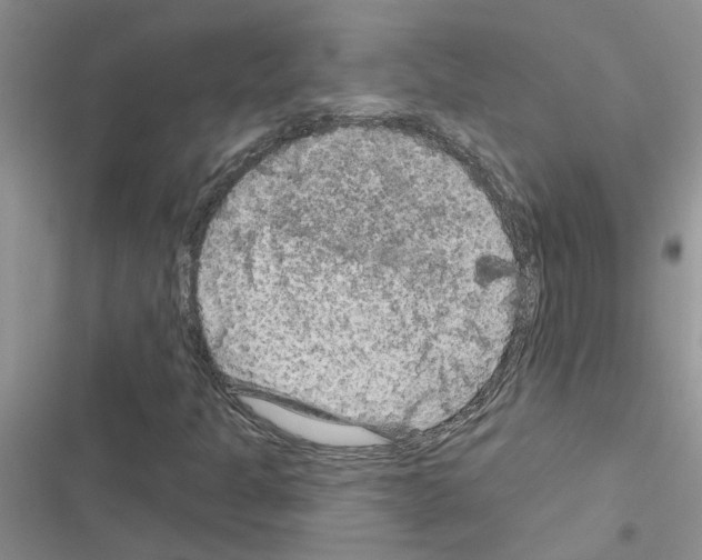 X0000116631301201001221352