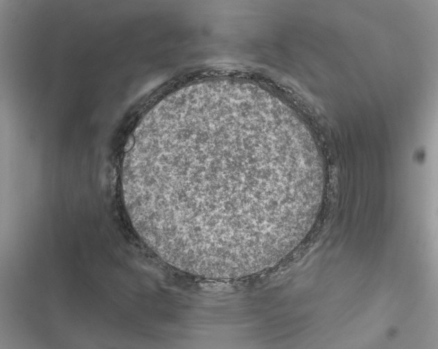 X0000116631302201001221352