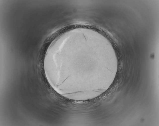 X0000116631303201001221352
