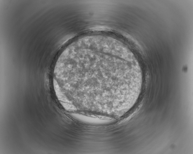 X0000116631305201001221352