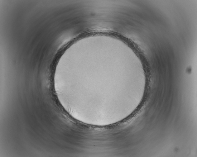 X0000116631306201001221352