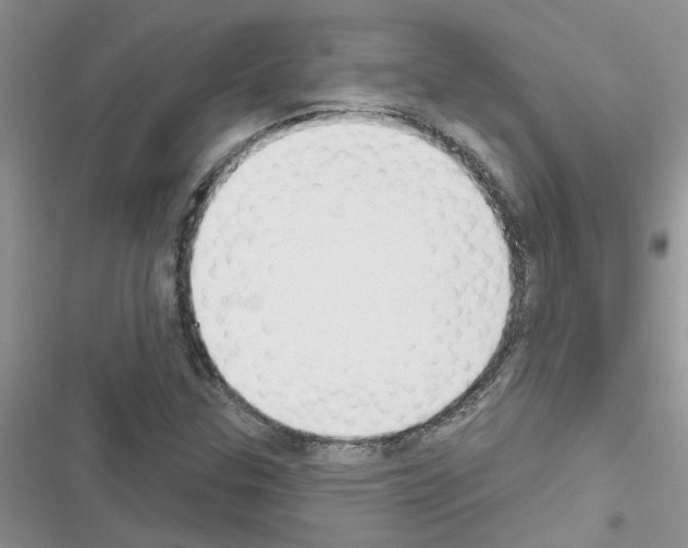 X0000116631307201001221352