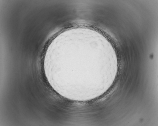 X0000116631309201001221352