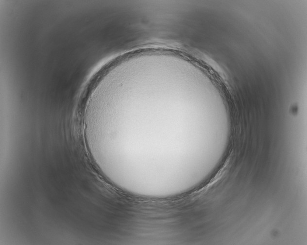 X0000116631310201001221352