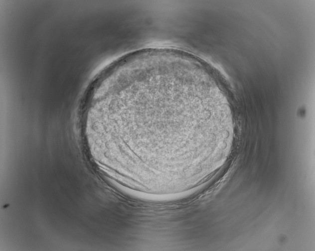 X0000116631311201001221352