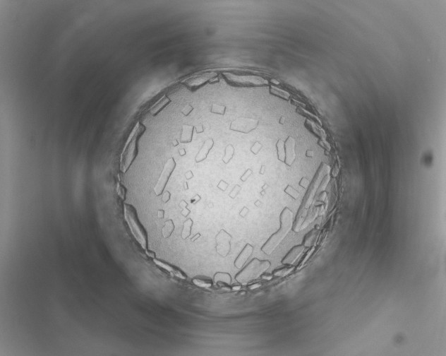 X0000116631314201001221352