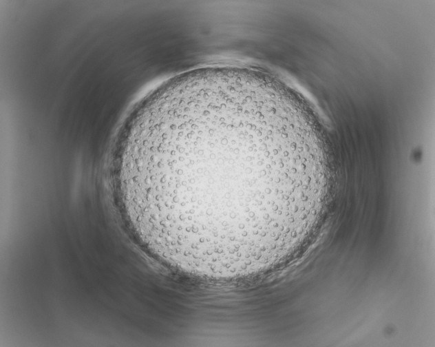 X0000116631315201001221352