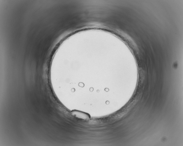 X0000116631318201001221352
