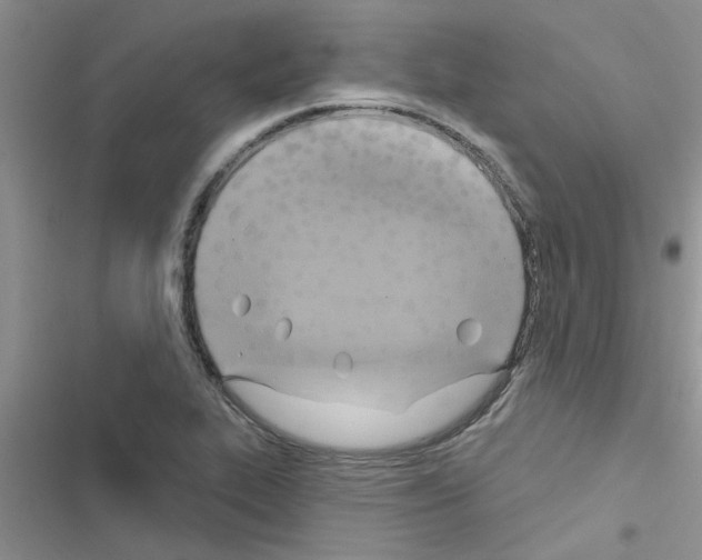 X0000116631319201001221352