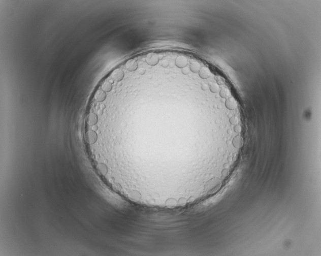 X0000116631322201001221352