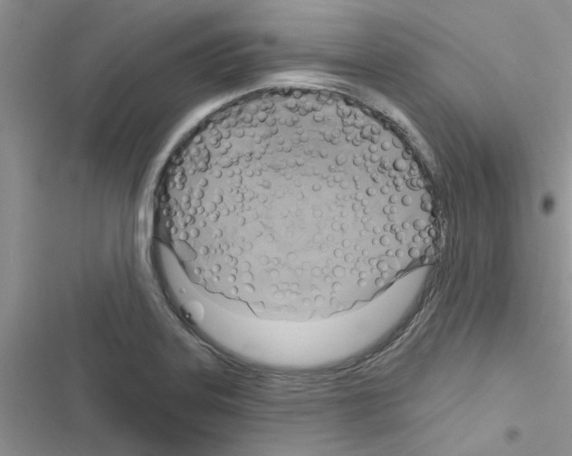 X0000116631323201001221352