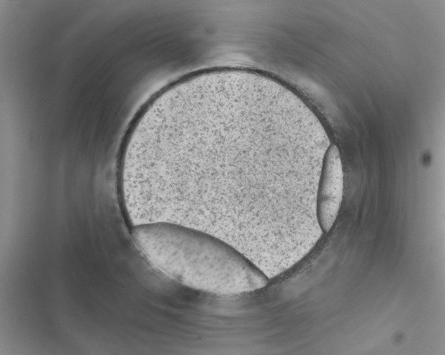 X0000116631326201001221352