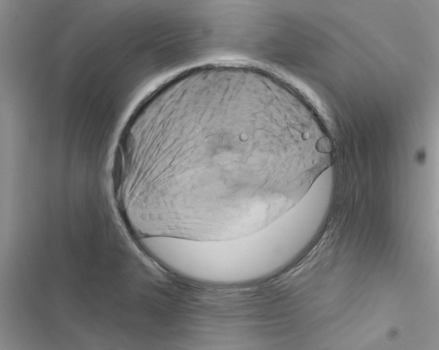 X0000116631327201001221352
