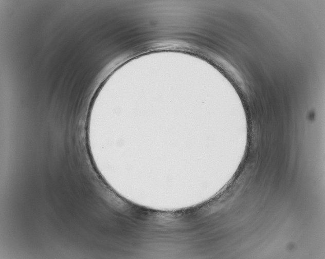 X0000116631330201001221352