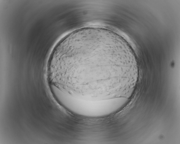 X0000116631331201001221352