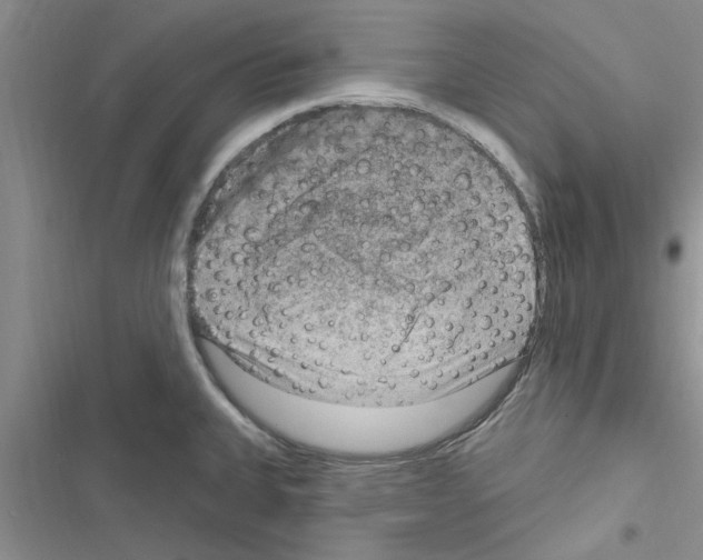 X0000116631335201001221353