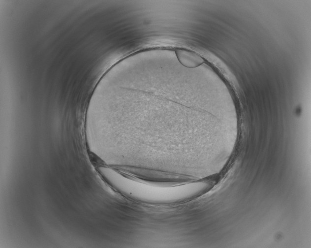 X0000116631337201001221353
