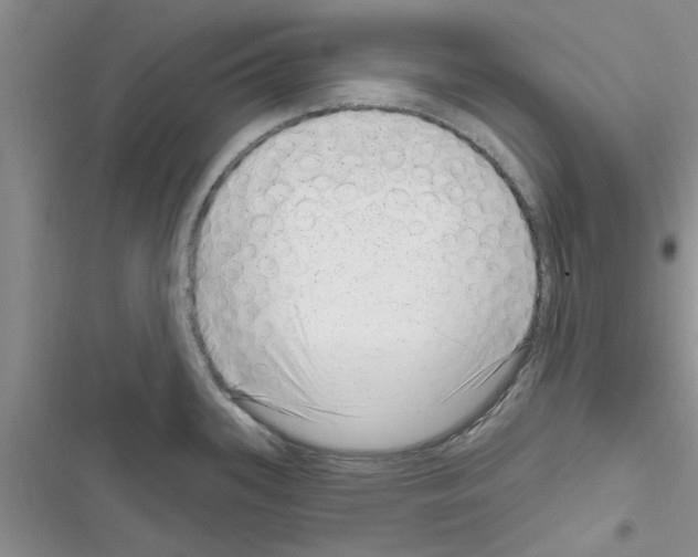X0000116631339201001221353