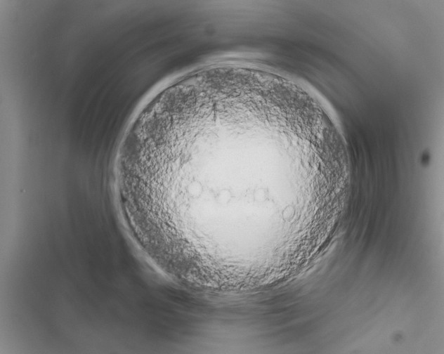 X0000116631341201001221353