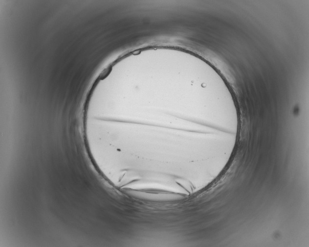 X0000116631342201001221353