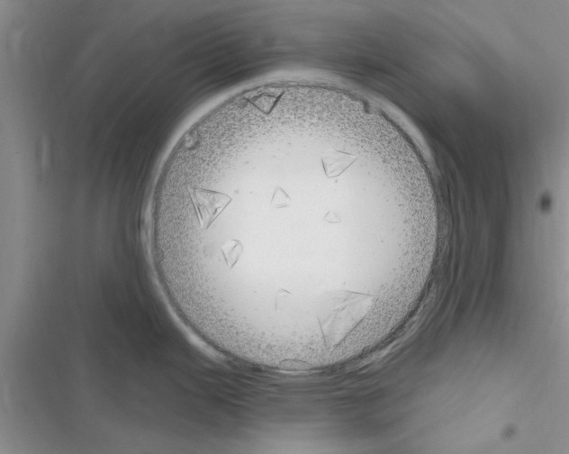 X0000116631343201001221353