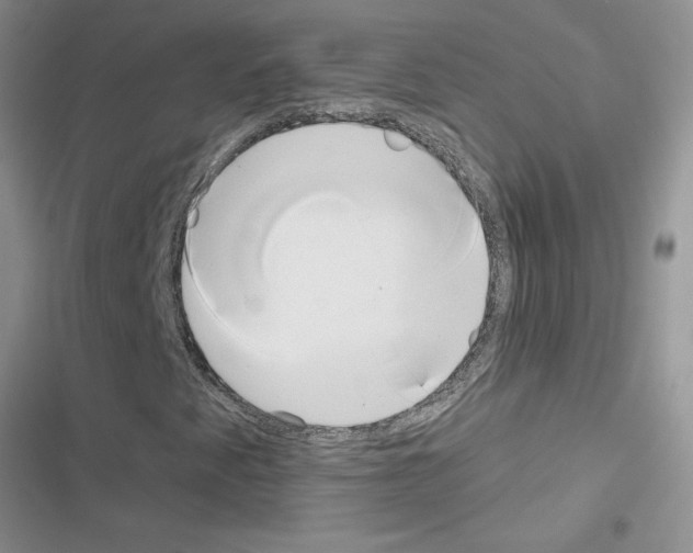 X0000116631345201001221352