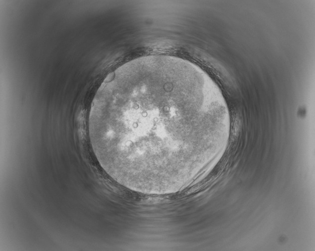 X0000116631346201001221352