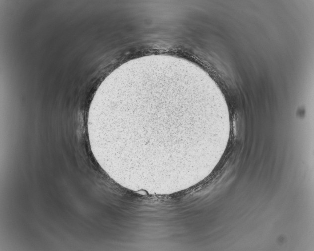 X0000116631347201001221352