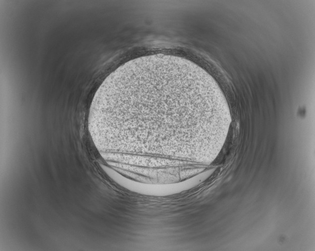 X0000116631348201001221352