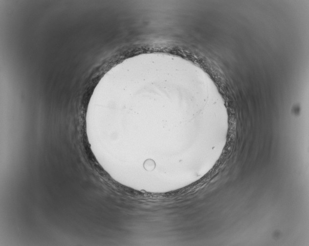 X0000116631349201001221352