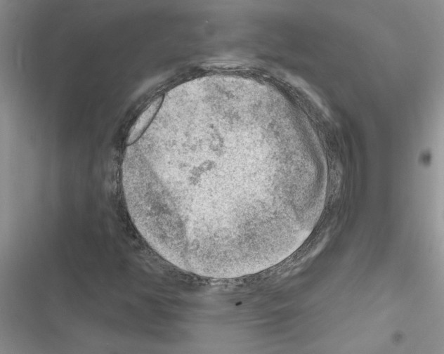 X0000116631350201001221352