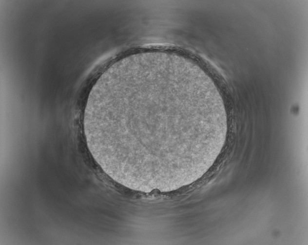 X0000116631351201001221352