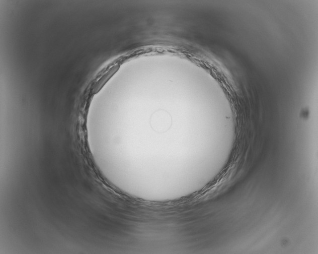 X0000116631352201001221352