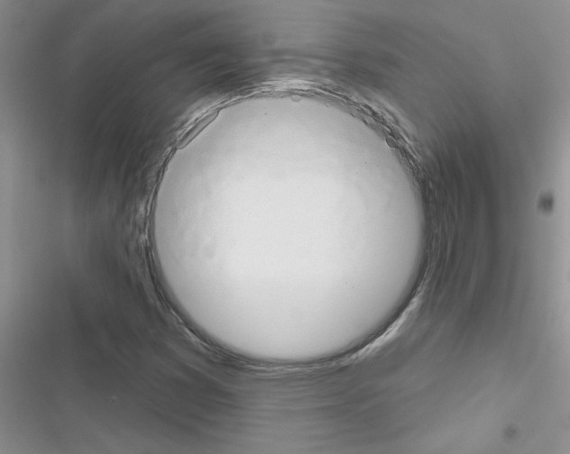 X0000116631353201001221352