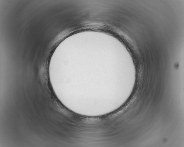 X0000116631354201001221352
