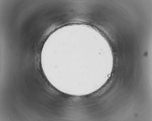 X0000116631355201001221352