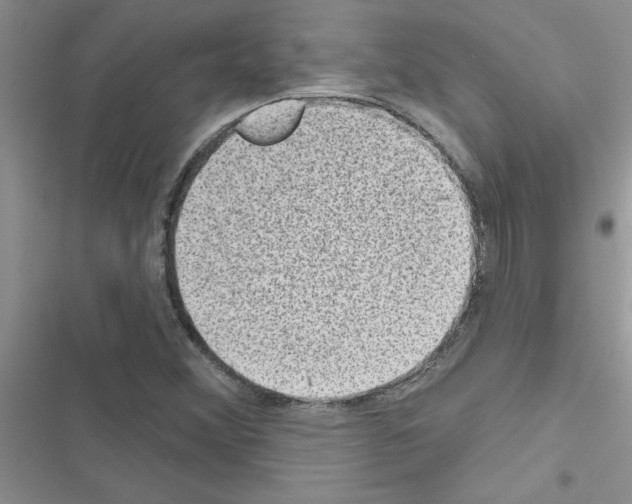 X0000116631356201001221352