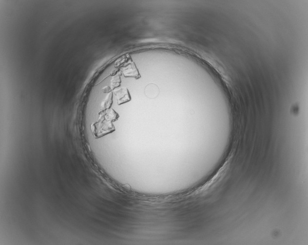X0000116631357201001221352