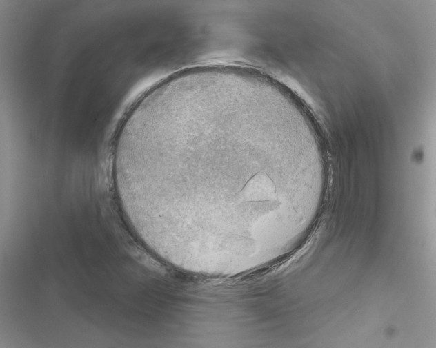 X0000116631358201001221352