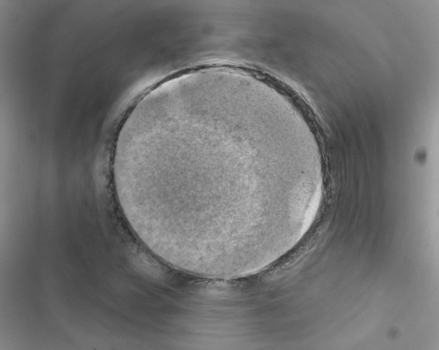 X0000116631359201001221352