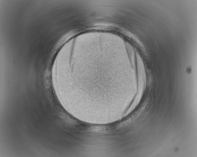 X0000116631362201001221352