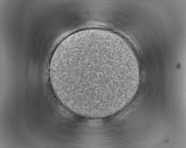 X0000116631363201001221352