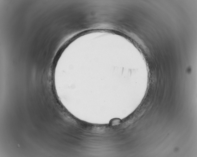 X0000116631364201001221352