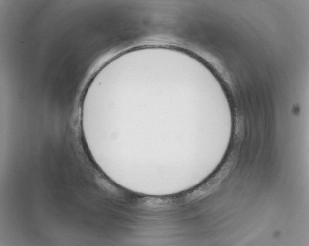 X0000116631366201001221352