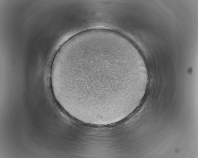 X0000116631367201001221352