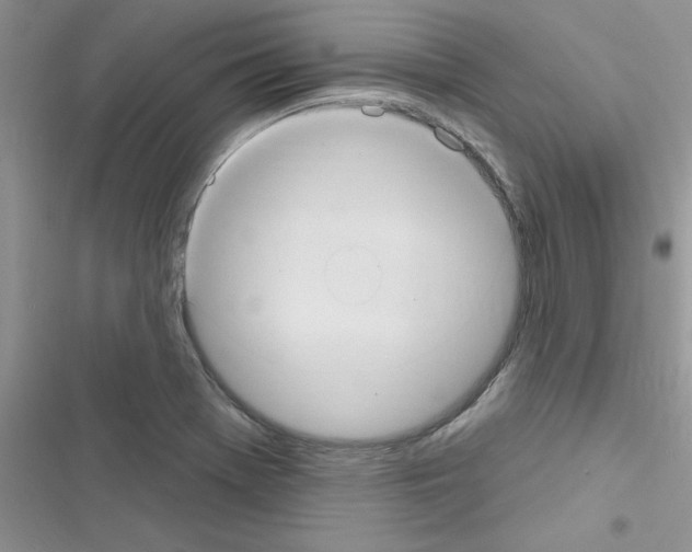 X0000116631369201001221352