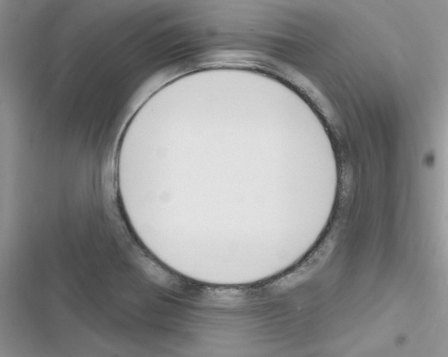 X0000116631370201001221352